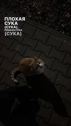 lirik Instagram 