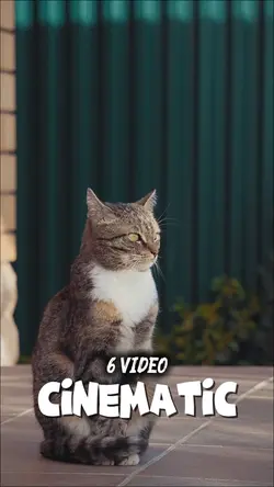 kitty cinematic 6v
