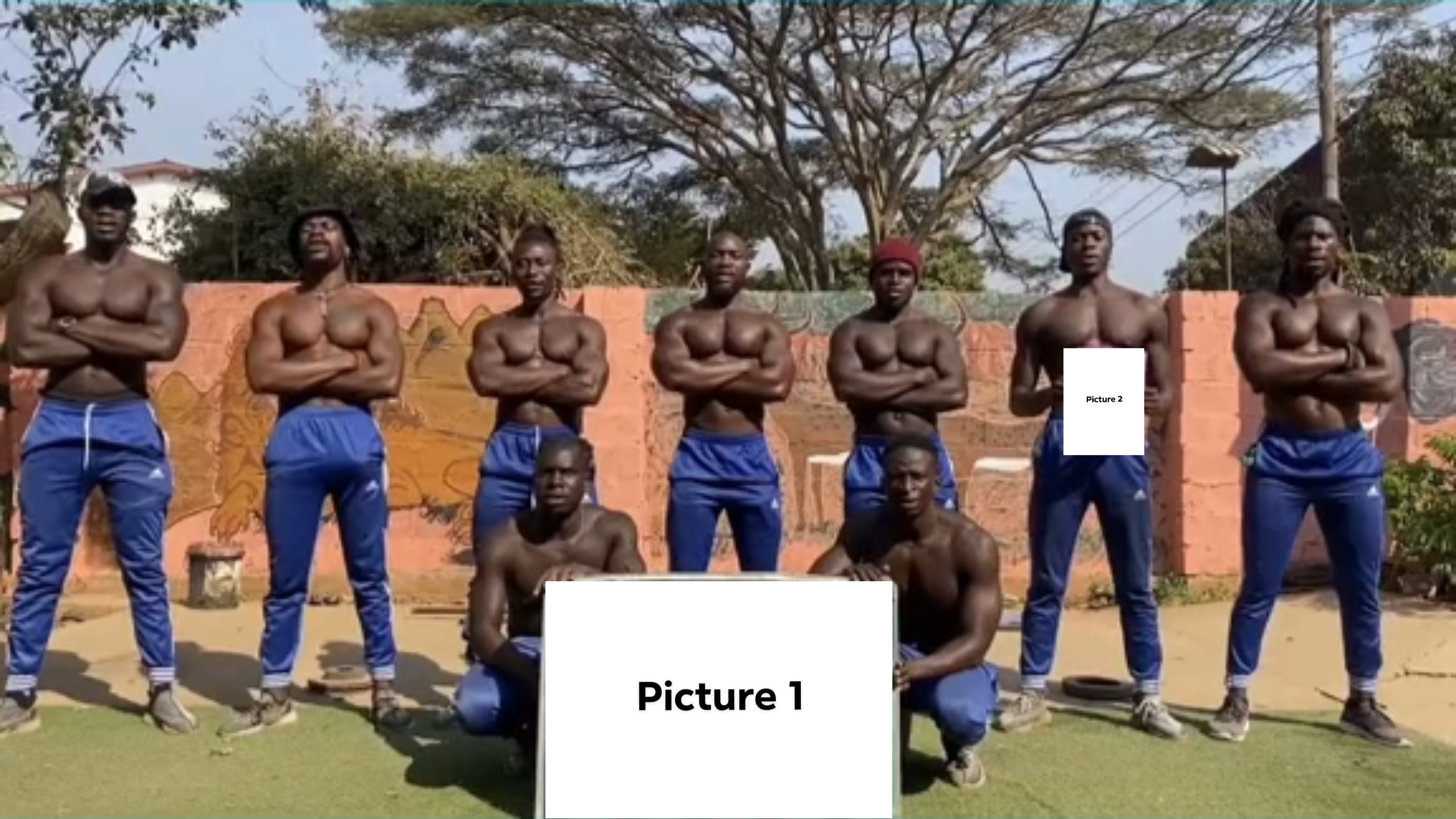 Cover Picture