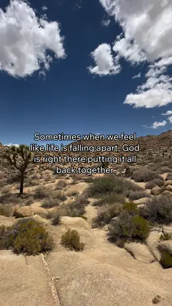 His plan is perfect.