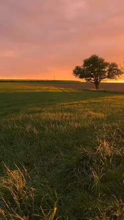 transition aesthetic