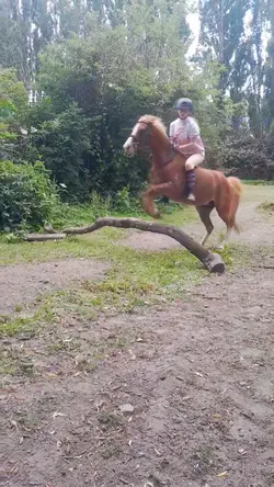 Lightn slowmo :)