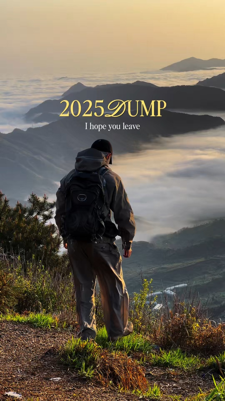 Volcado 2025