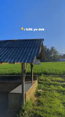 Dek iclik yo dek 