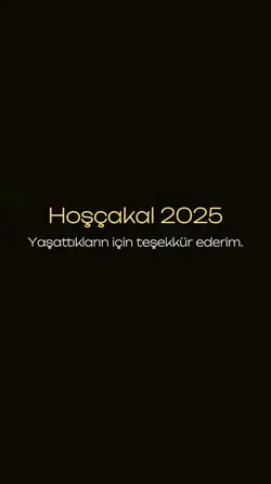 2025 Özeti 