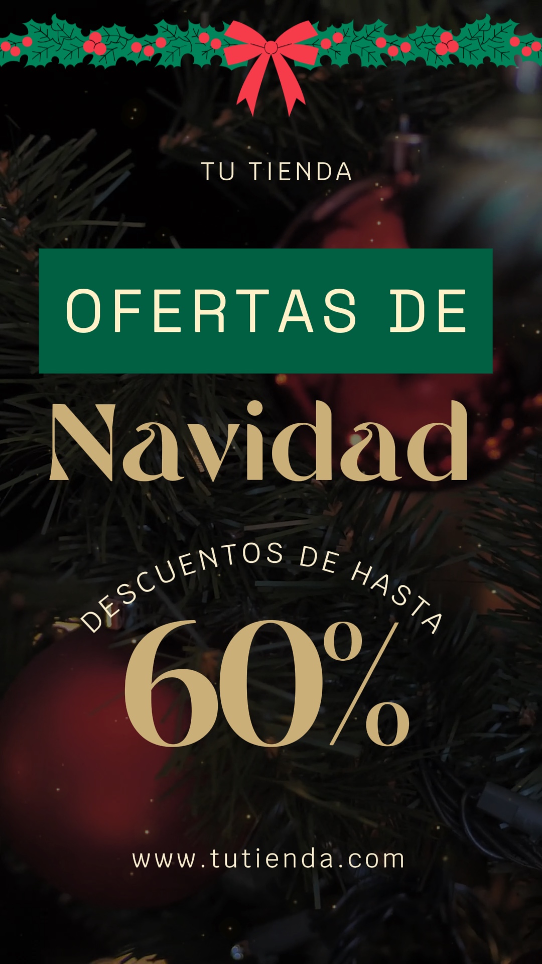 Promo Oferta Navidad