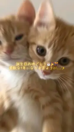 誕生日おめでとうソング スカイピース