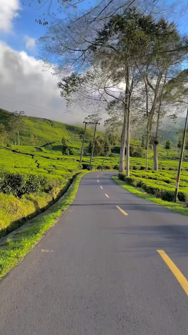 5 viagens de vídeo
