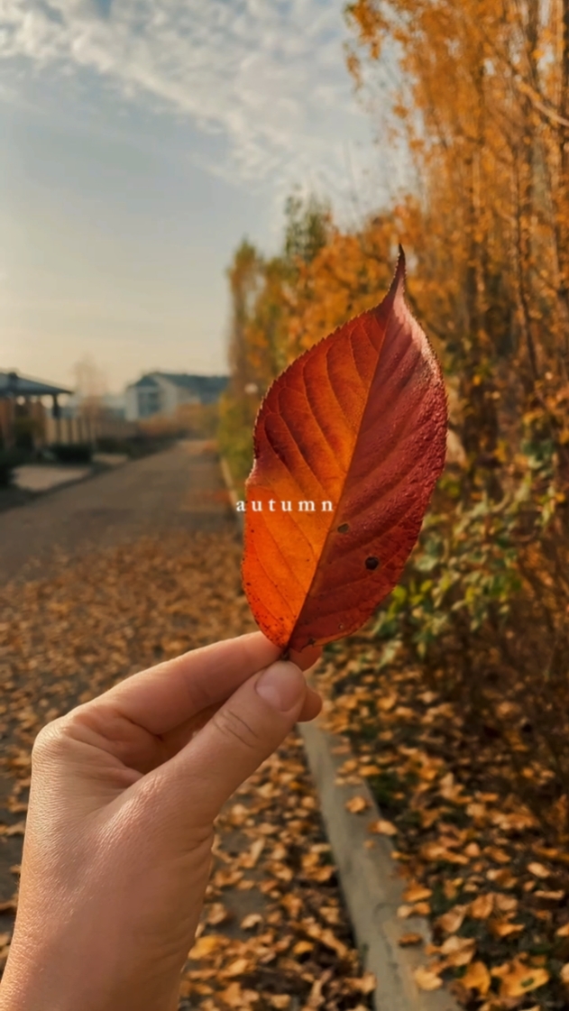 Autumn