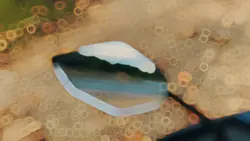Takas na tayo!