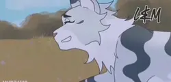 Warrior cats