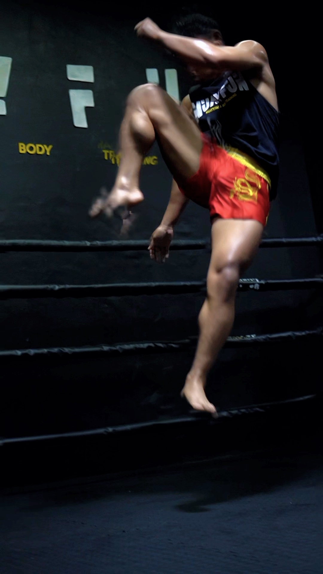 Motivação Muaythai