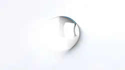 white circle ²¹
