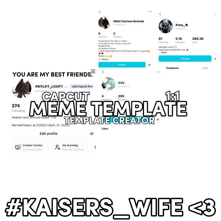 All my followers are