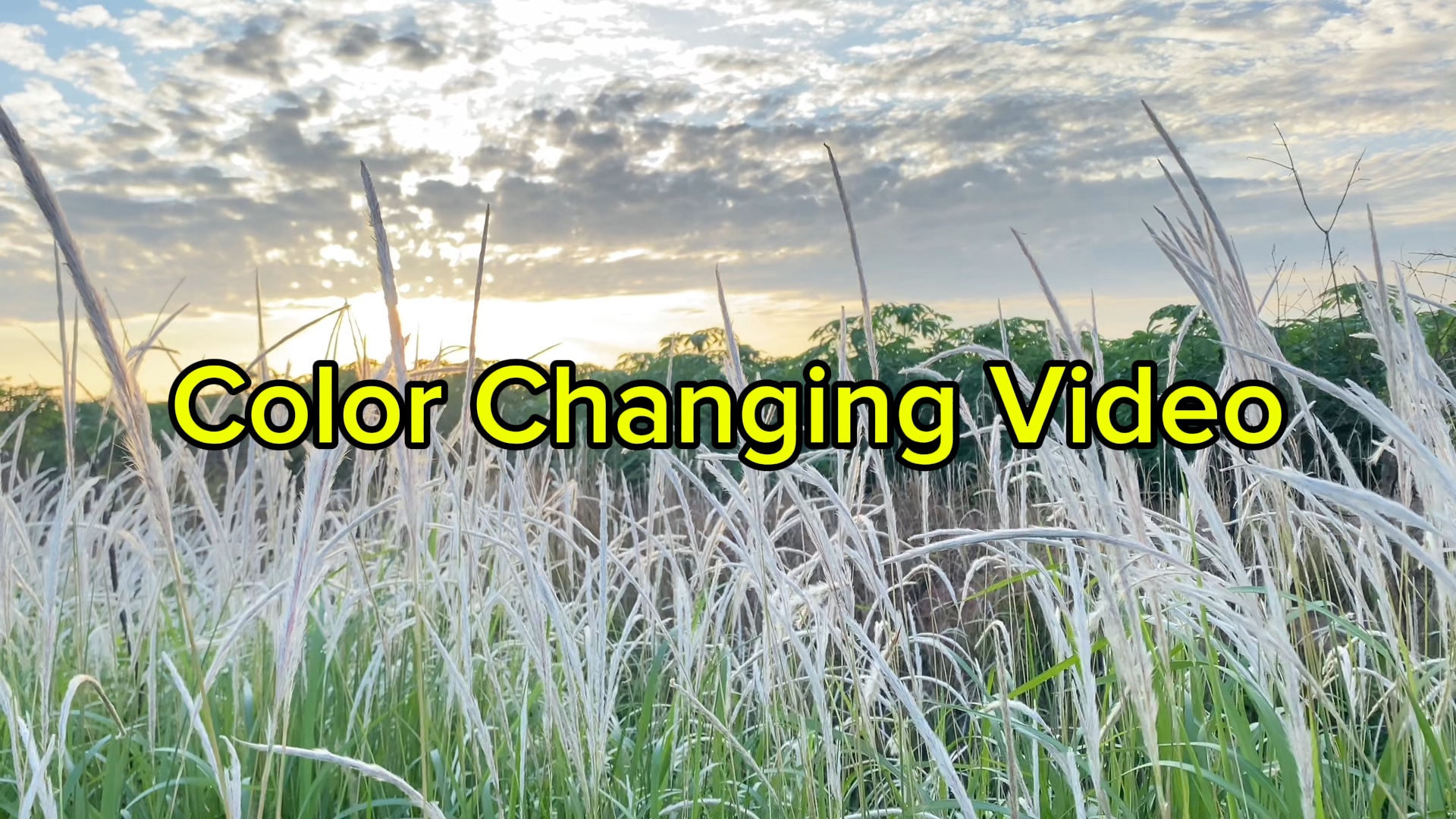Vidéo à changement de couleur