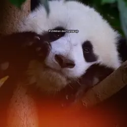 David Attenborough💗