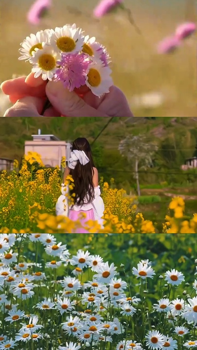 Dia de primavera🌻