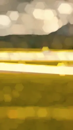 Slowmo India 1video