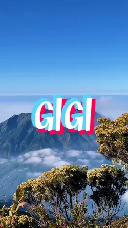 11 Januari
