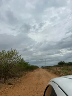 Vida Sertaneja 🌵🤍