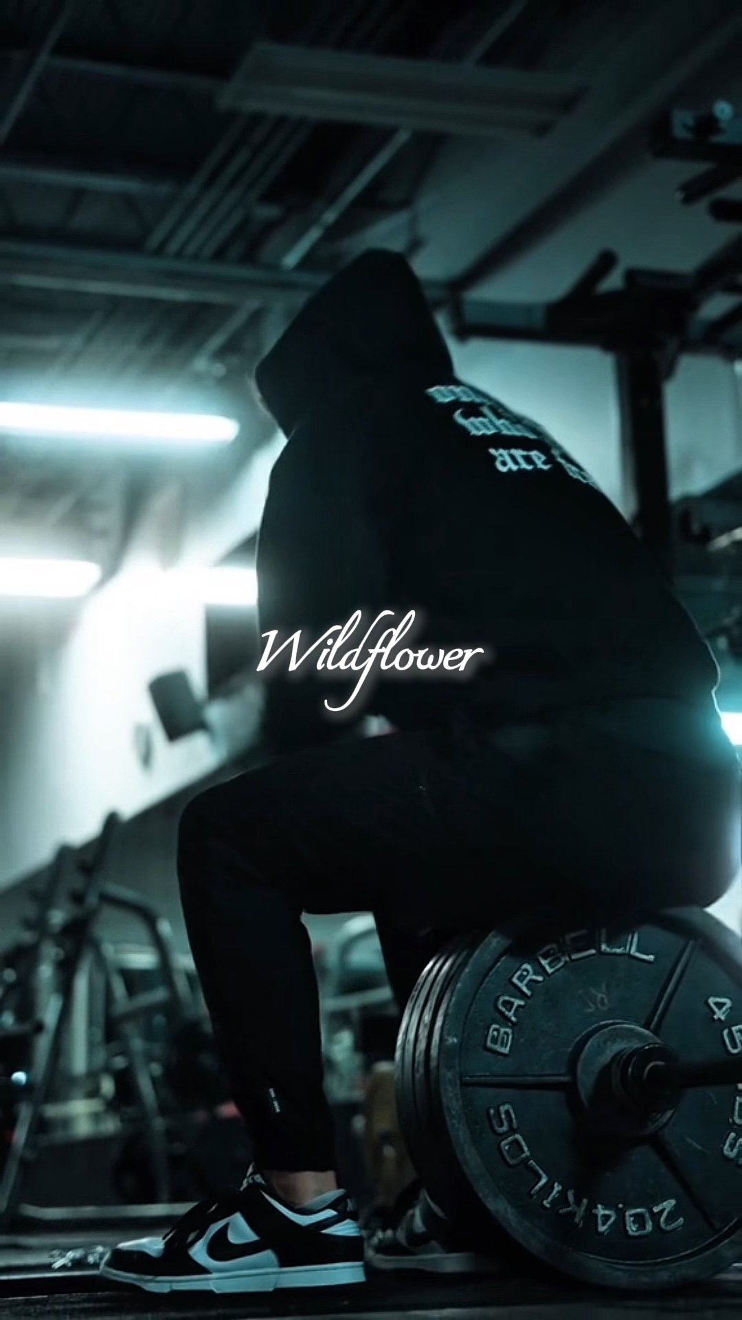 GYM | Wildflower