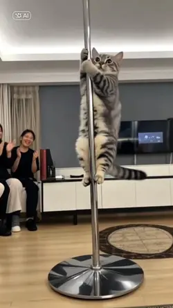 Pole dance pet