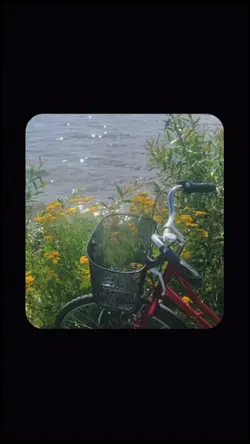 ghibli vibes 10video