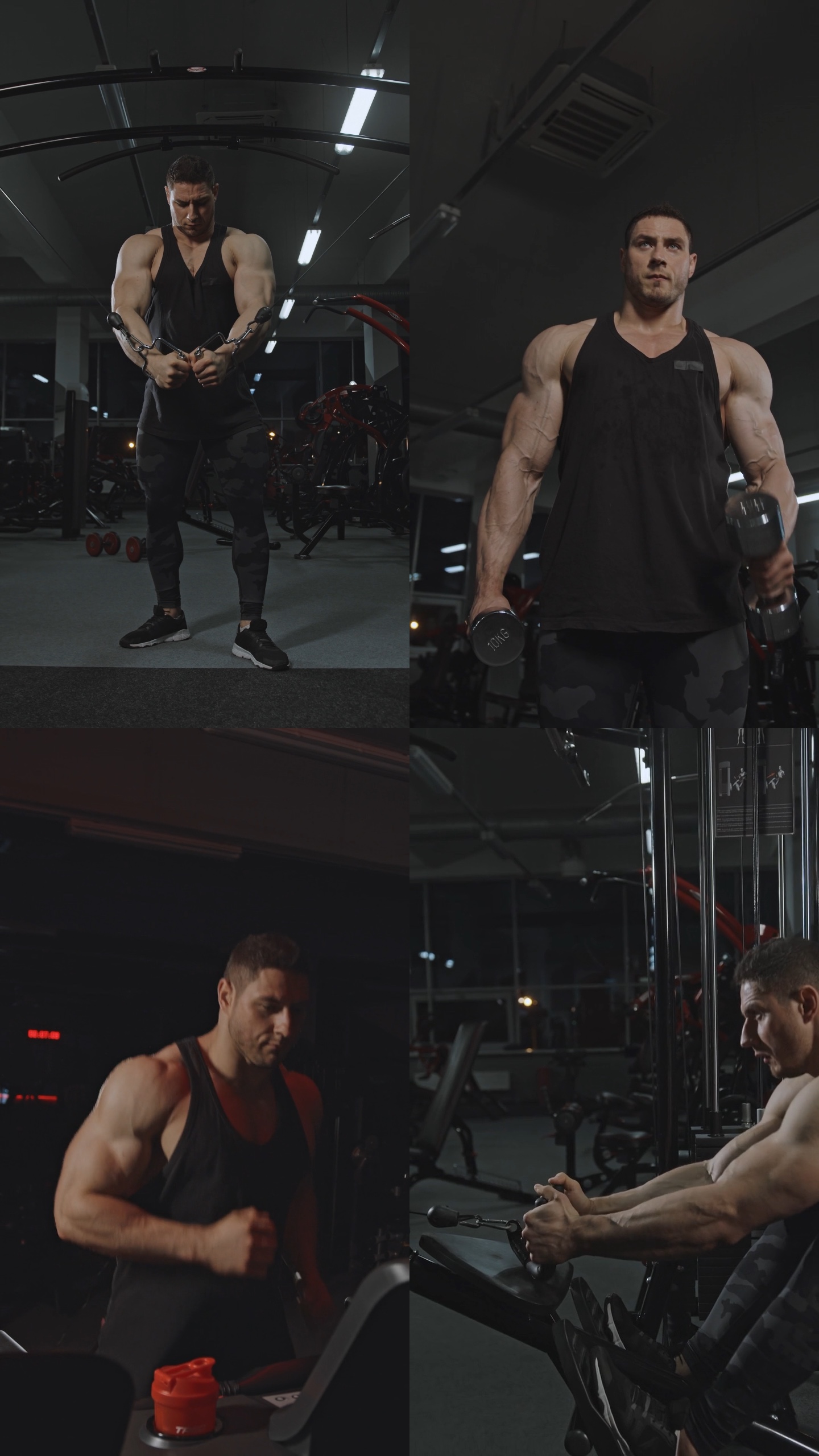 Historia del gimnasio