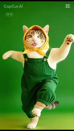 CATaction2