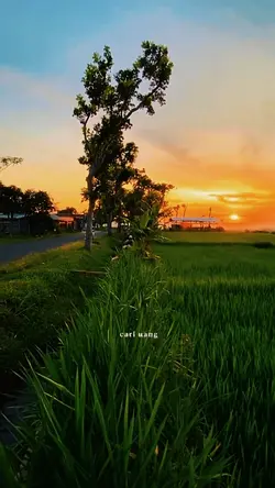 sakit pinggang