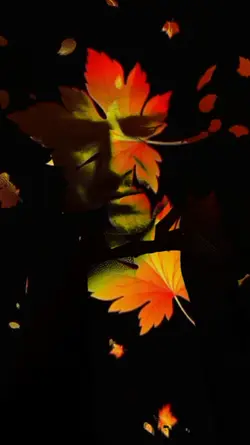 Overlay Effect