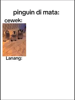 Story
