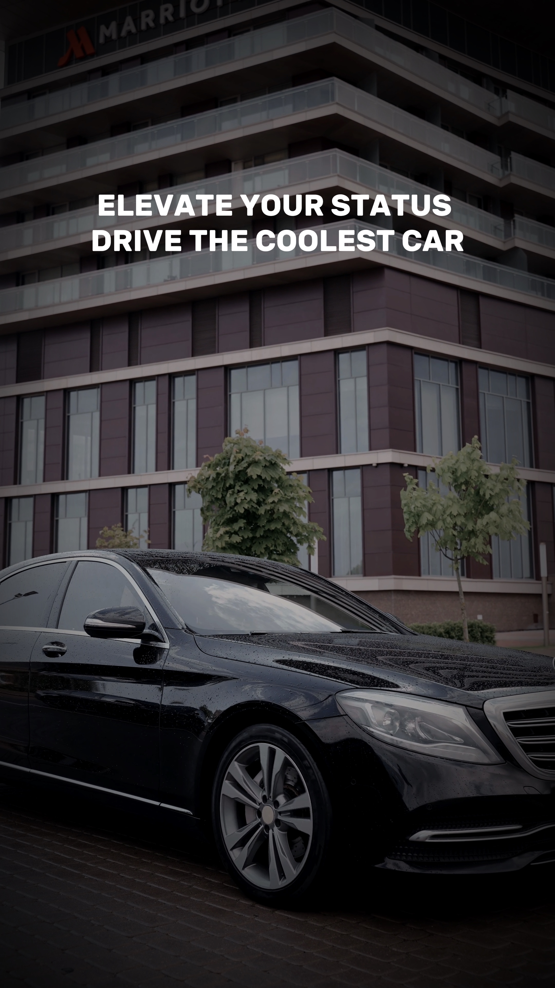 Affichage de l'industrie automobile battant le style TikTok