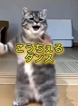 こうちぇるダンス 写真1枚