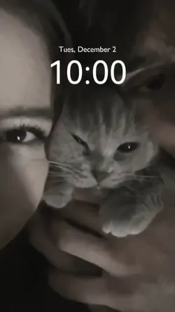 Couple livewallpaper