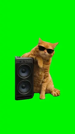 Cats Ready