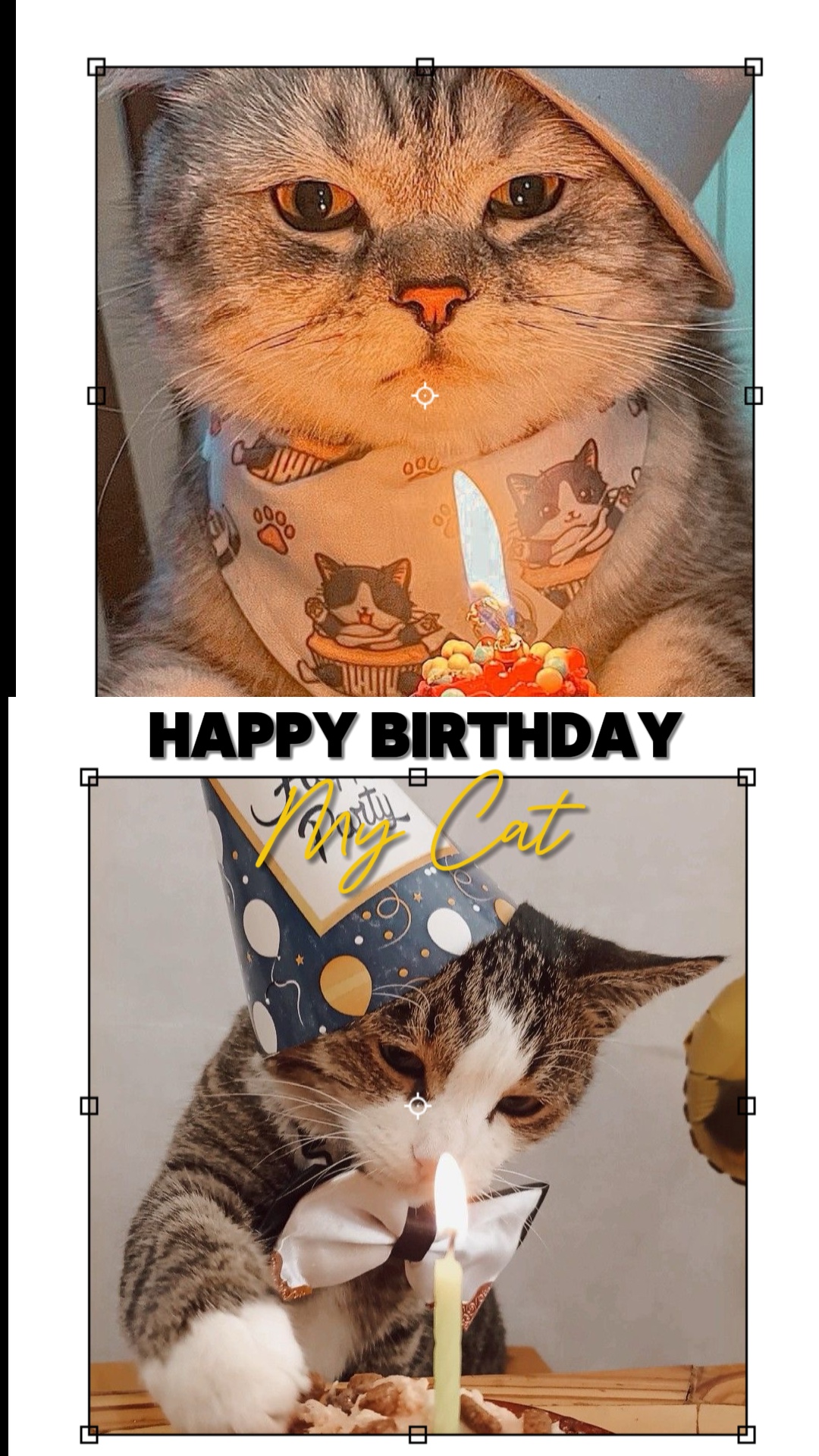 HPBD Meu Gato 🇺🇸