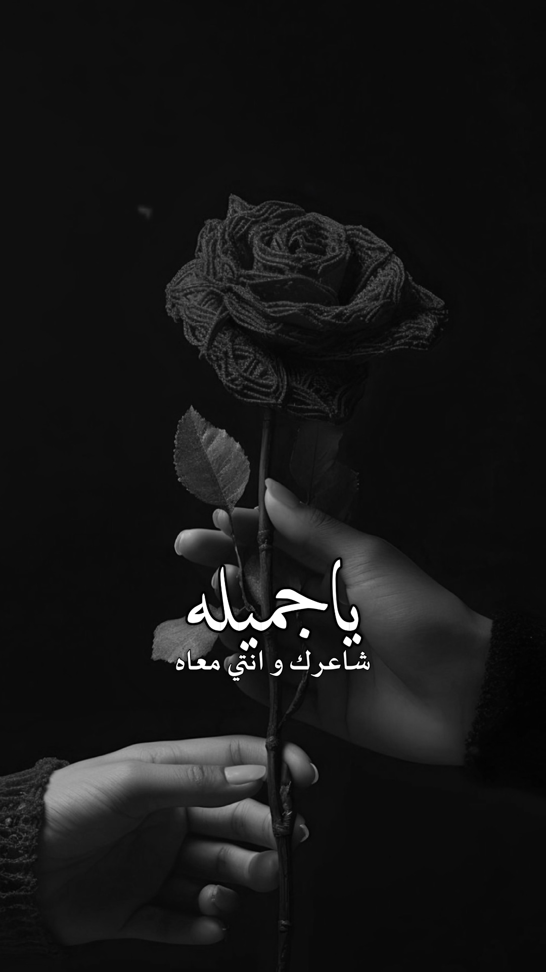 ياه ميله 