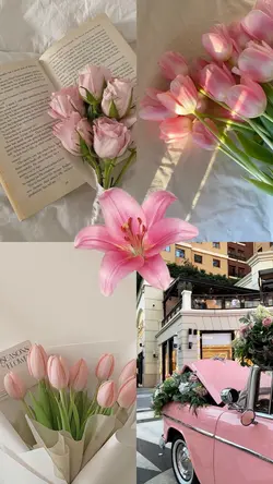 4 lü fotoğraf 🩷