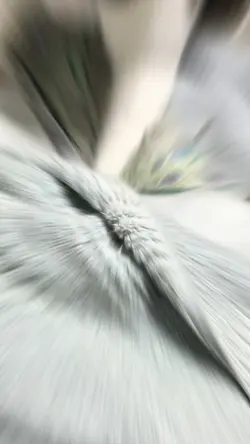 猫の布団揉み揉みマッサージ💆