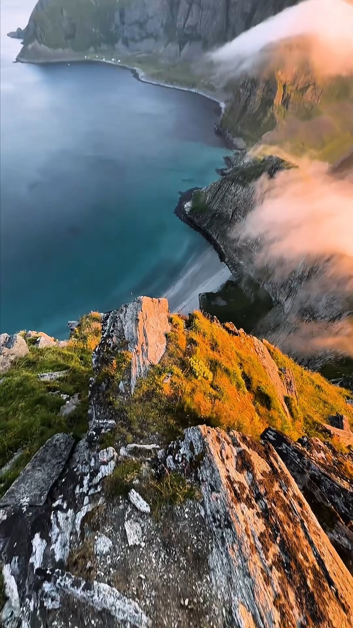 7 video nature vibes