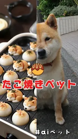 たこ焼きペット