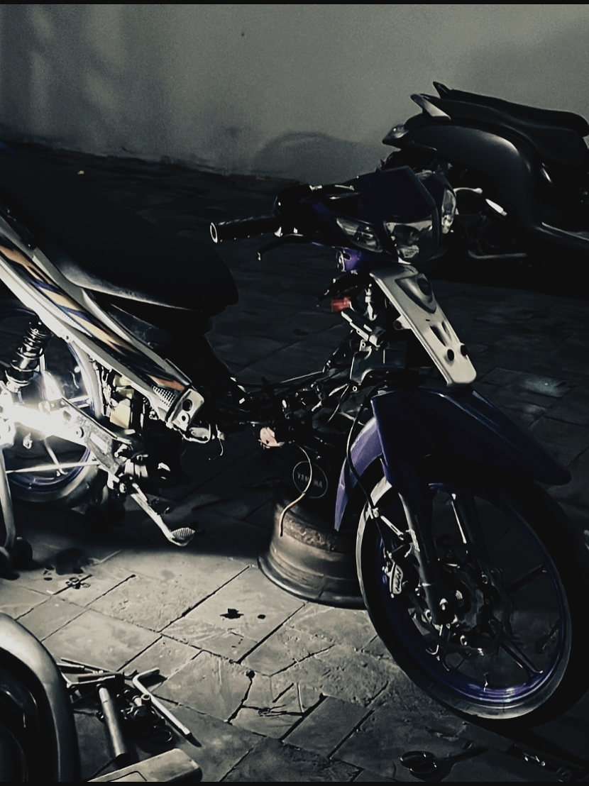 Cover Picture