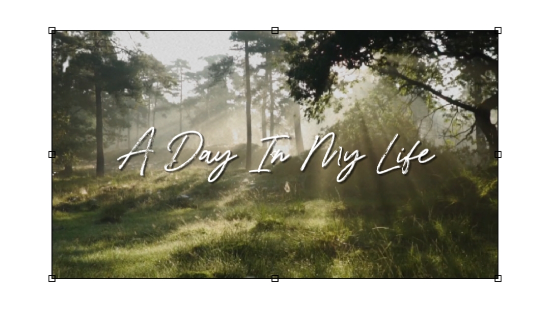 Daily Intro