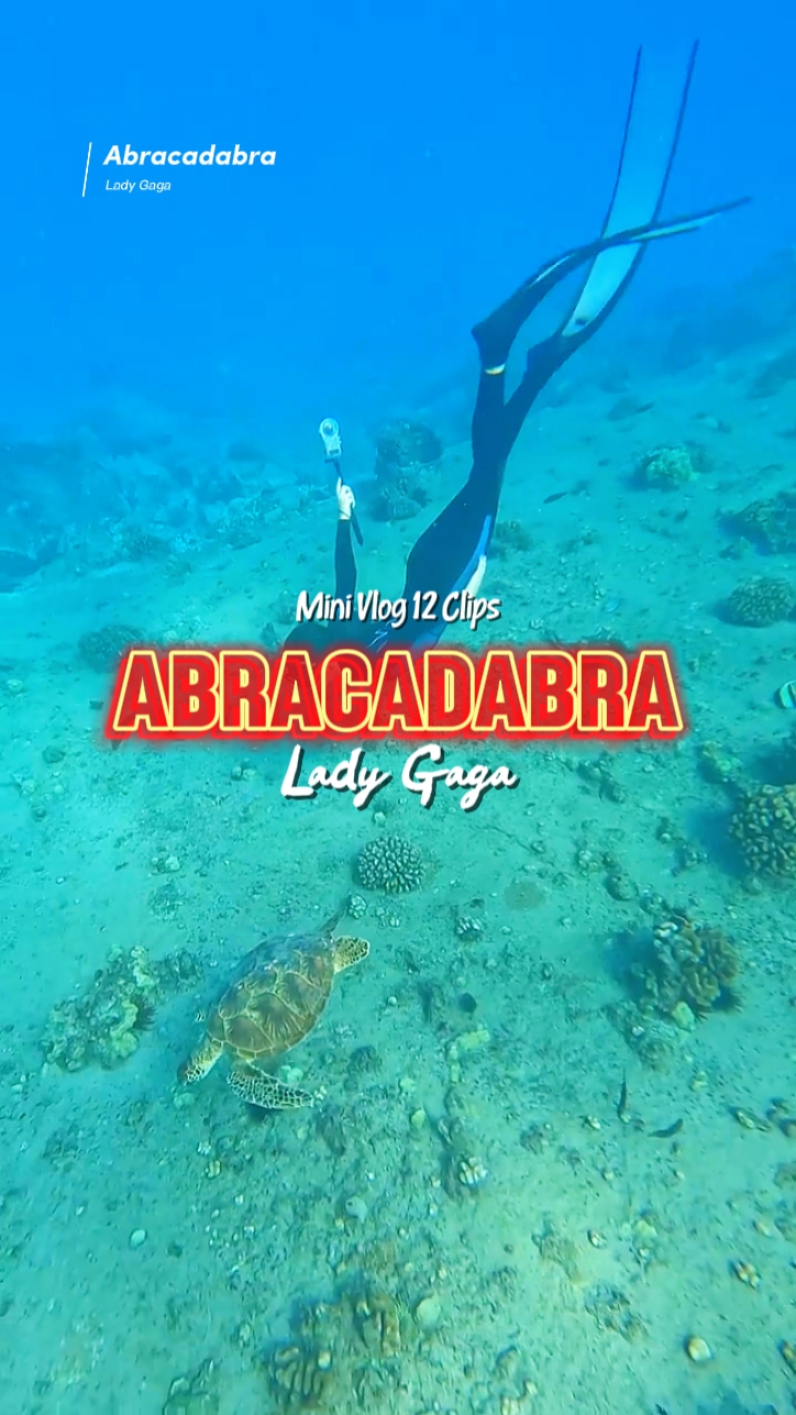 Abracadabra • 12 Klip