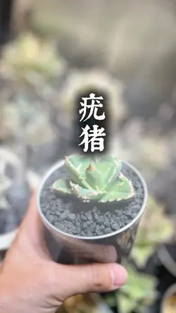 無料30秒テンプレ
