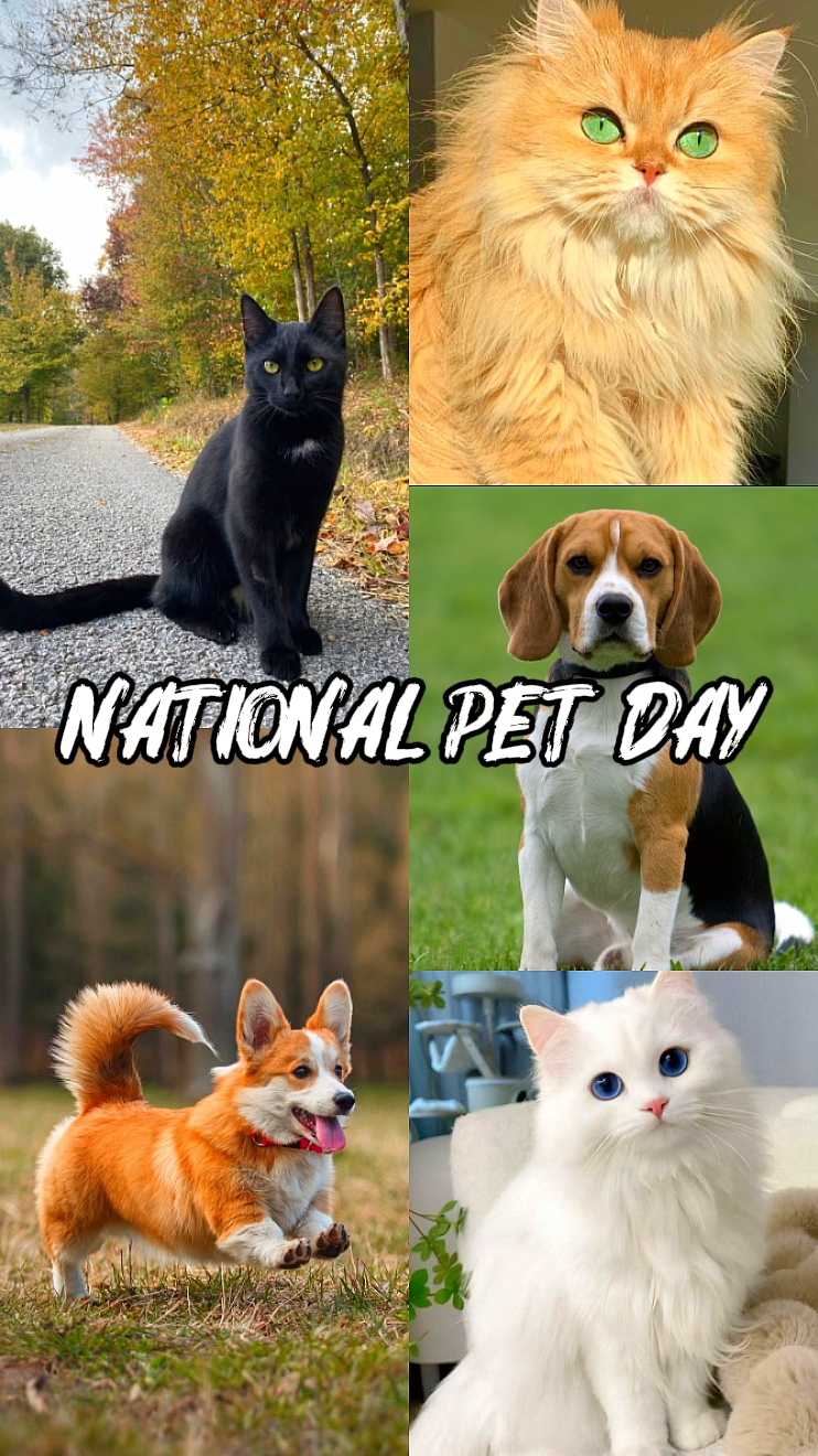 National Pet Day