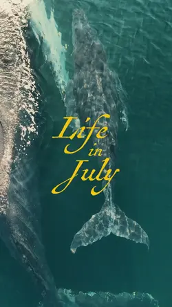 july recap