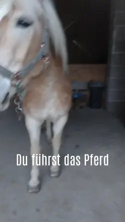 Wahre Worte...