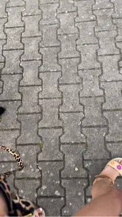 Walkwithmydog